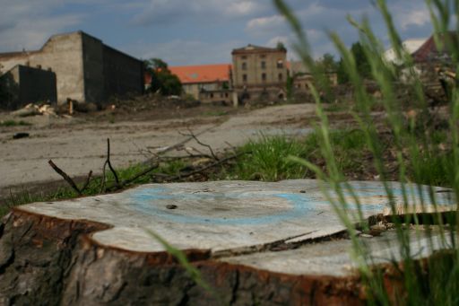 Wohnen oder im Gr&uuml;nen - das Paradies der Prenzlauer G&auml;rten : paradies_prenzlauer_gaerten_berlin_IMG_435-3501 : 