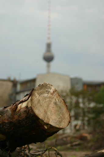 Wohnen oder im Gr&uuml;nen - das Paradies der Prenzlauer G&auml;rten : paradies_prenzlauer_gaerten_berlin_IMG_435-3557 : zentral gelegen, familienfreundliches Wohneigentum im Herzen Berlins