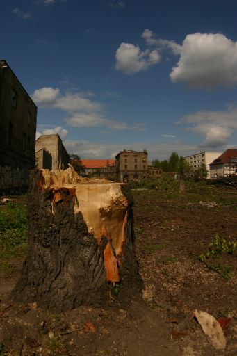Wohnen oder im Gr&uuml;nen - das Paradies der Prenzlauer G&auml;rten : wohnen_oderim_gruenen_IMG_430-3069 : Wohnen am Friedrichshain, ab 100.000 Euro sind Sie dabei, massig tolles Karma inclusive