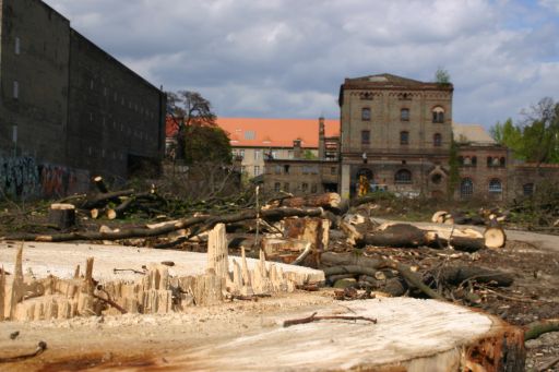 Wohnen oder im Gr&uuml;nen - das Paradies der Prenzlauer G&auml;rten : wohnen_oderim_gruenen_IMG_430-3084 : hinten die alte Schneider Brauerei - kommen wohl auch Lofts rein - irgendwann wurde mal was von Jugendfreizeitoptionen gefaselt ... aber sowas schreckt ja nur unn&uuml;tz K&auml;ufer ab ...