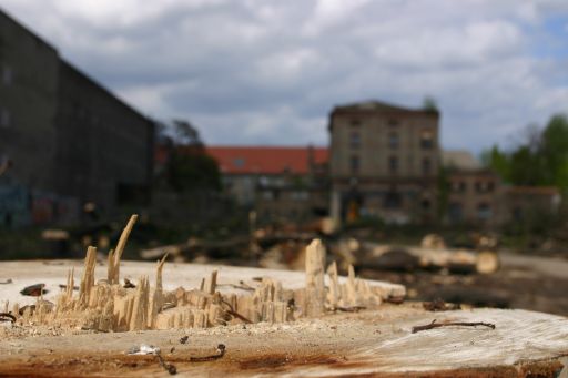 Wohnen oder im Gr&uuml;nen - das Paradies der Prenzlauer G&auml;rten : wohnen_oderim_gruenen_IMG_430-3086 : Schweizer Garten hiess das hier fr&uuml;her mal, und man konnte Bier aus der Schneider-Brauerei nebenan durch seine Kehle rinnen lassen.