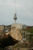 Wohnen oder im Gr&uuml;nen - das Paradies der Prenzlauer G&auml;rten : paradies_prenzlauer_gaerten_berlin_IMG_435-3557 zentral gelegen, familienfreundliches Wohneigentum im Herzen Berlins