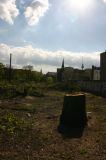 Wohnen oder im Gr&uuml;nen - das Paradies der Prenzlauer G&auml;rten : wohnen_oderim_gruenen_IMG_430-3070 citynahes Wohneigentum, preiswert und familienfreundlich