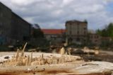 Wohnen oder im Gr&uuml;nen - das Paradies der Prenzlauer G&auml;rten : wohnen_oderim_gruenen_IMG_430-3086 Schweizer Garten hie&szlig; das hier fr&uuml;her mal, und man konnte Bier aus der Schneider-Brauerei nebenan durch seine Kehle rinnen la&szlig;en.